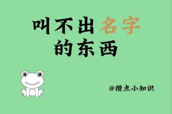 姓名评分的背后：分析名字对生活的潜在影响