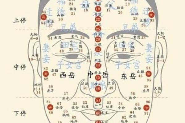 探索面相图片：从五官解读你的未来与内在性格