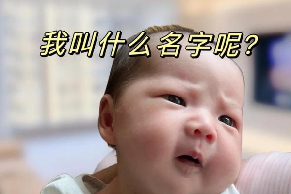 如何为家取个独一无二的名字