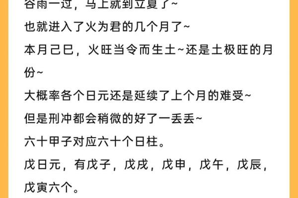 日柱地支的含义与命理分析揭秘