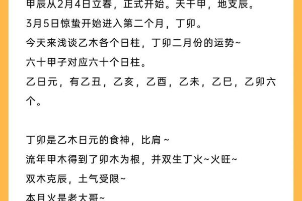 日柱地支的含义与命理分析揭秘