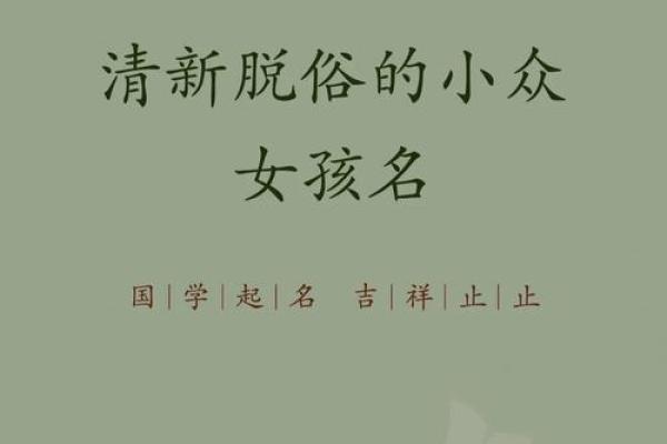 清新脱俗的清字取名宝典