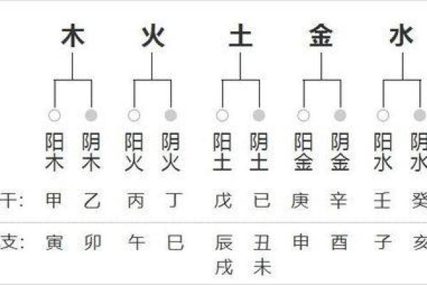 立字五行属性解析及其对命理的影响