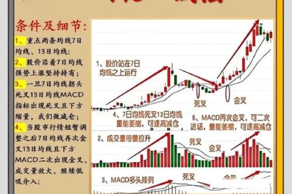 了解地支时间表，精准把握个人运程