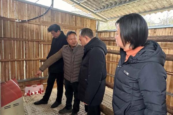 赵姓男宝宝取名灵感，传递力量与智慧的名字