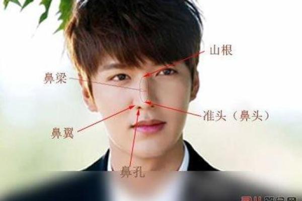 通过鼻型解读面相运势与性格特征