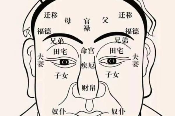 通过鼻型解读面相运势与性格特征