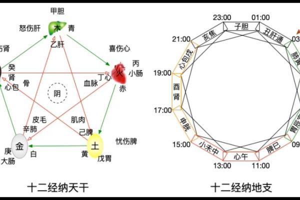 了解十二天干与十二地支的相互关系与作用