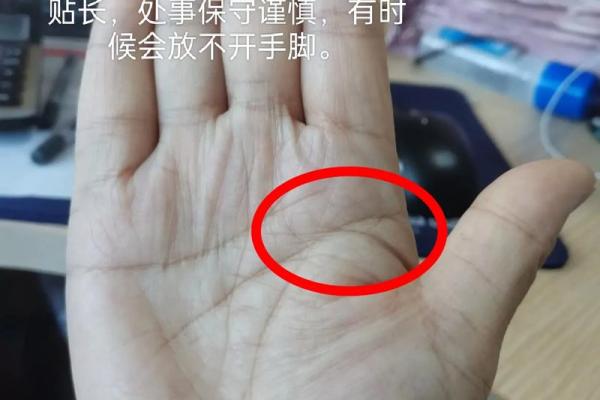 手相预测能否影响人生？真相探讨