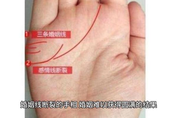 手相预测能否影响人生？真相探讨