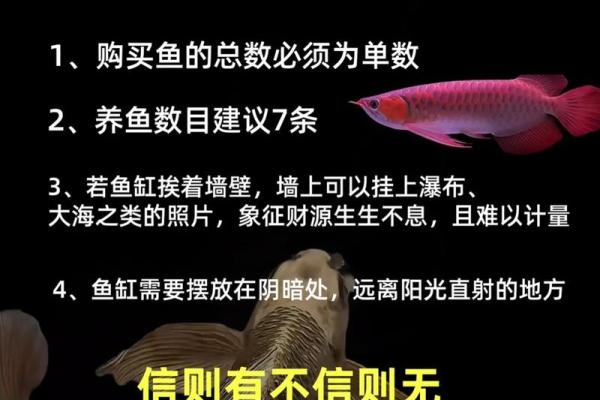 提升财运的招财风水技巧分享