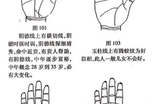 解读脚部命理：脚的形态如何影响你的事业与财运