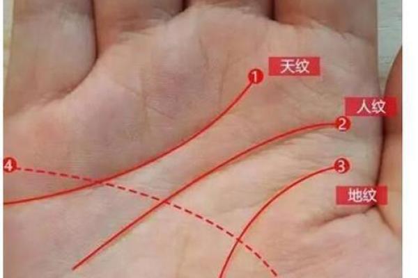 手相分析揭秘：通过掌纹看你的婚姻运势与爱情未来