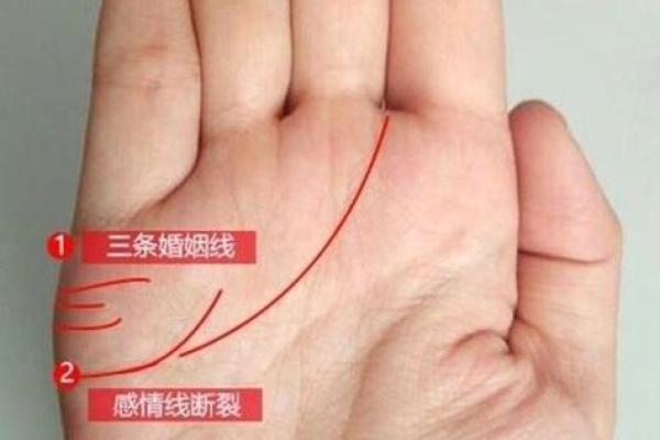 手相分析揭秘：通过掌纹看你的婚姻运势与爱情未来