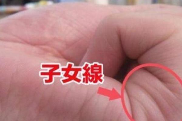 如何通过手相判断未来孩子的数量