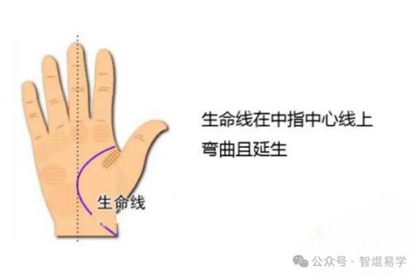如何通过手相判断未来孩子的数量