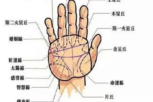 男人手相图解：了解你的命运从手纹开始