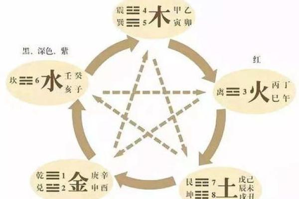 地支与五行的关系解析：如何影响命理与运势分析