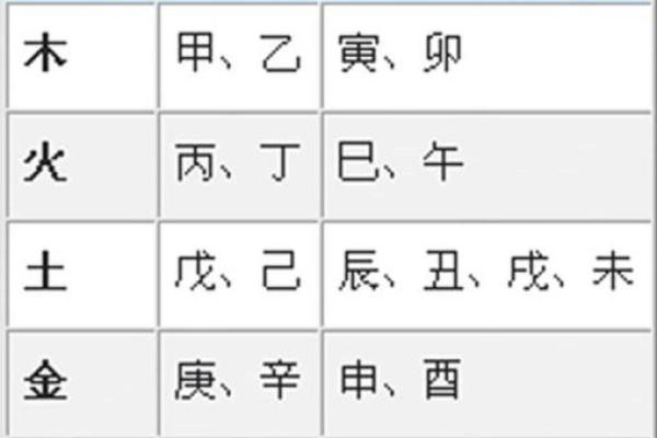 地支与五行的关系解析：如何影响命理与运势分析