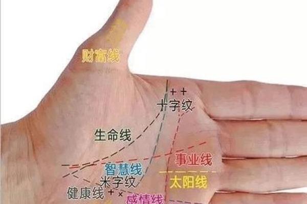 揭秘手相中的生命线与命运走向分析
