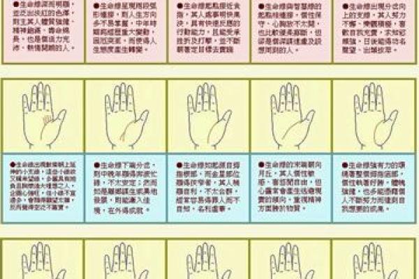 揭秘手相中的生命线与命运走向分析