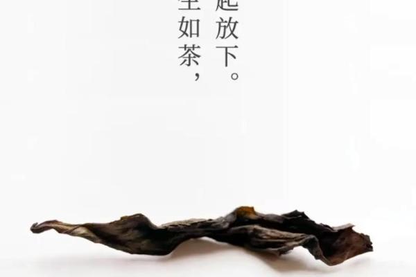 品味茶文化：从茶叶到生活艺术