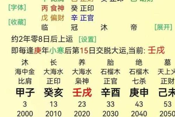 如何利用偏财藏地支提升个人财运