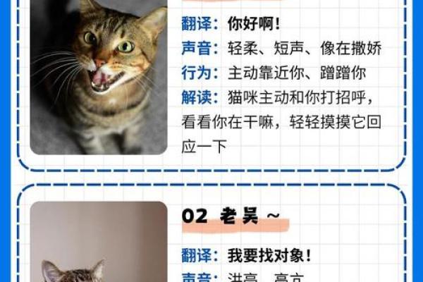 李晓名字评分解析及其含义解读