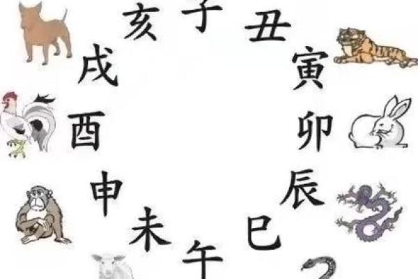 免费命理分析助你洞察未来趋势