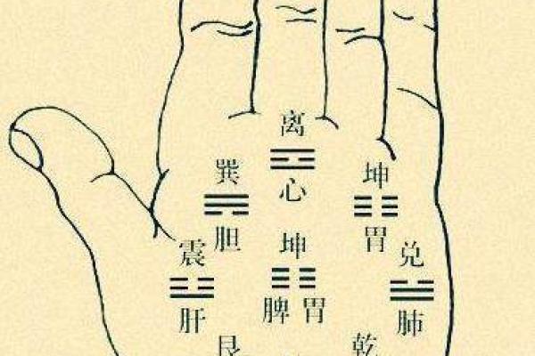 男人手相分析：解密掌纹背后的性格与命运