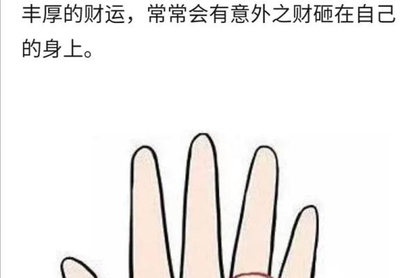 揭开a理命背后的智慧与生命的深层含义