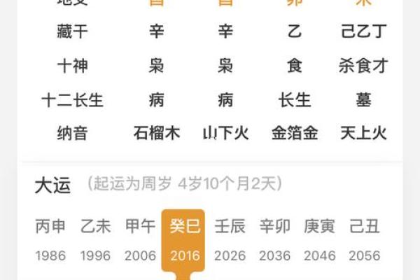 利用八字排盘免费版了解你的命理优势与挑战