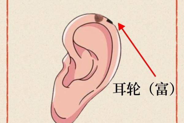 男性面部痣相解析：揭示命运与性格的微妙联系