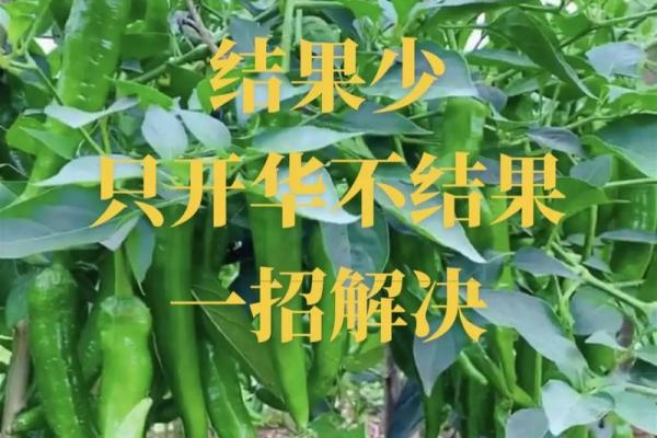 农业公司命名的创意指南与实用技巧