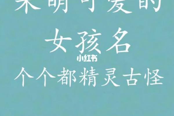 一诺名字评分解析：揭示名字背后的命运玄机