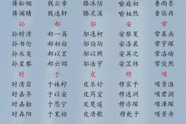 如何为男宝宝选择一个既独特又有意义的名字