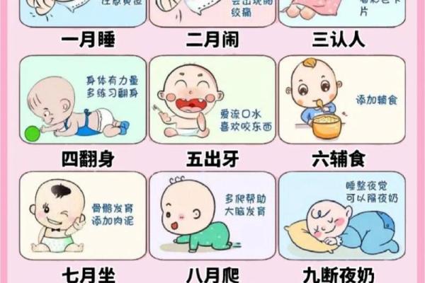 从一月到十二月：适合不同月份宝宝的名字解析