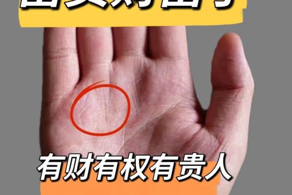 手相图鉴：揭示每个手掌背后的故事