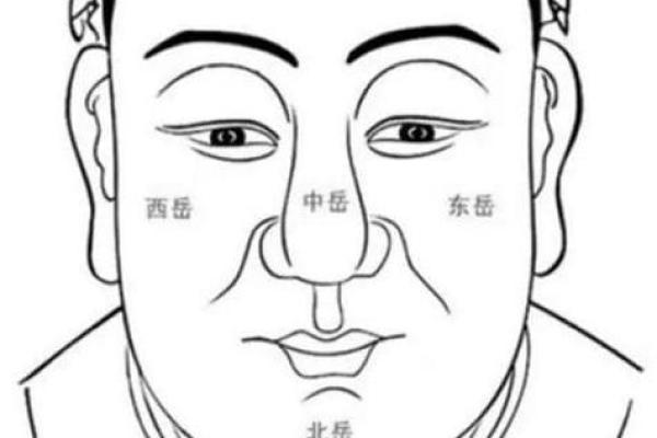 下巴短的男人面相象征着什么？探究背后的深意