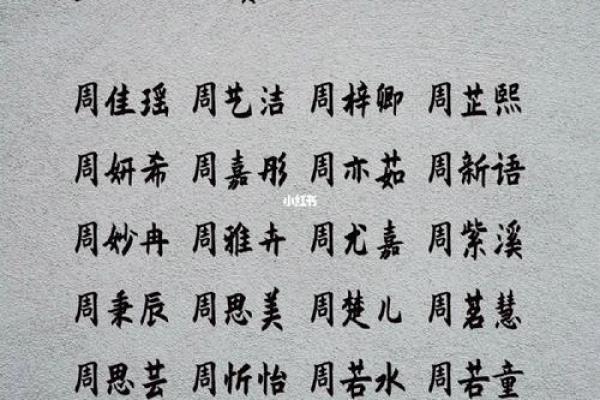 周姓起名技巧与经典推荐