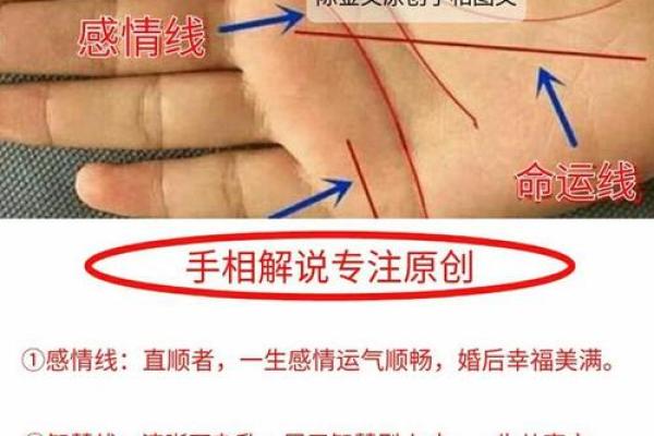 手相解析：女性财富线的含义与解读