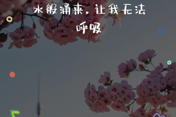 为什么你的梦中总是有某个人的身影