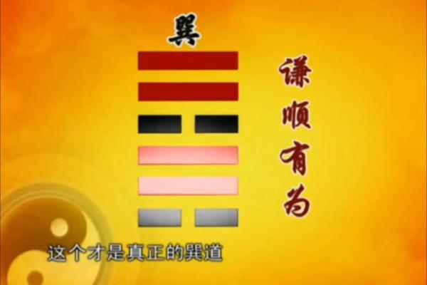 免费生辰八字查询，开启属于你的命运之门