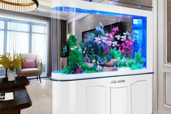 办公室鱼缸风水禁忌与正确选择指南