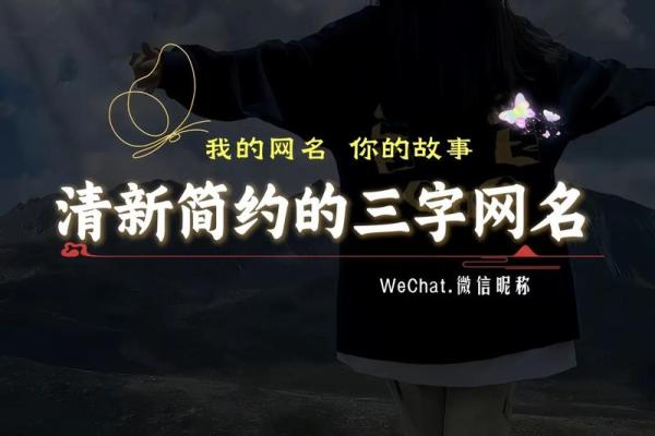 如何为公司选择一个简洁有力的三字名称