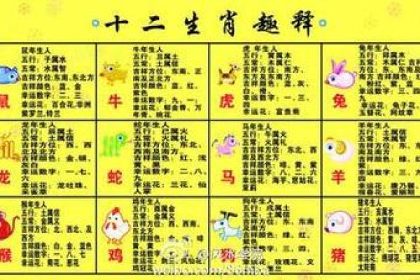 了解十二地支与生肖的关系与区别