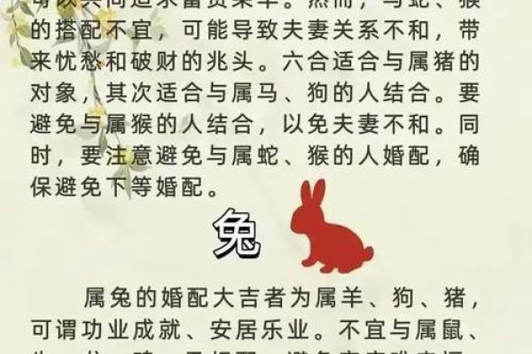 了解十二地支与生肖的关系与区别