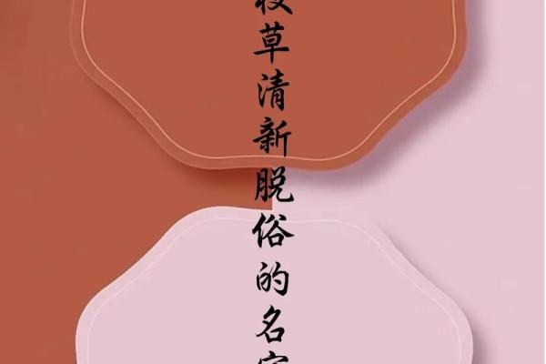 园林公司起名技巧与创意灵感分享