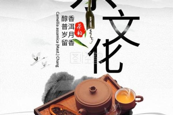 探索茶文化中的传统与现代元素