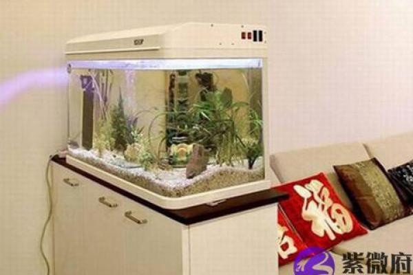 风水专家推荐：鱼缸位置对家居气场的影响